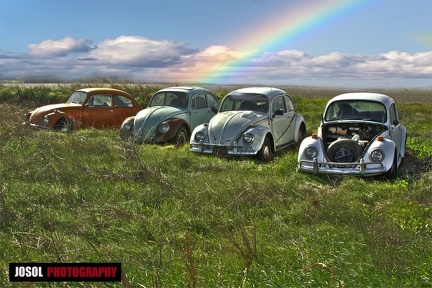 bugs-Rainbow-00
